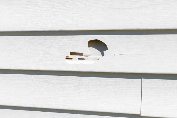 Affordable siding repair and maintenance services in Nebraska City, NE